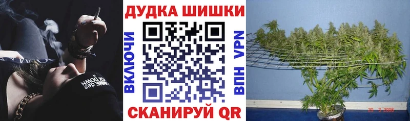 Купить  Кольчугино  Конопля OG Kush 